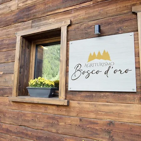 Agriturismo Bosco D'oro 1 * 利维尼奥